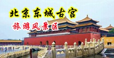 插美少妇逼流水黄片中国北京-东城古宫旅游风景区